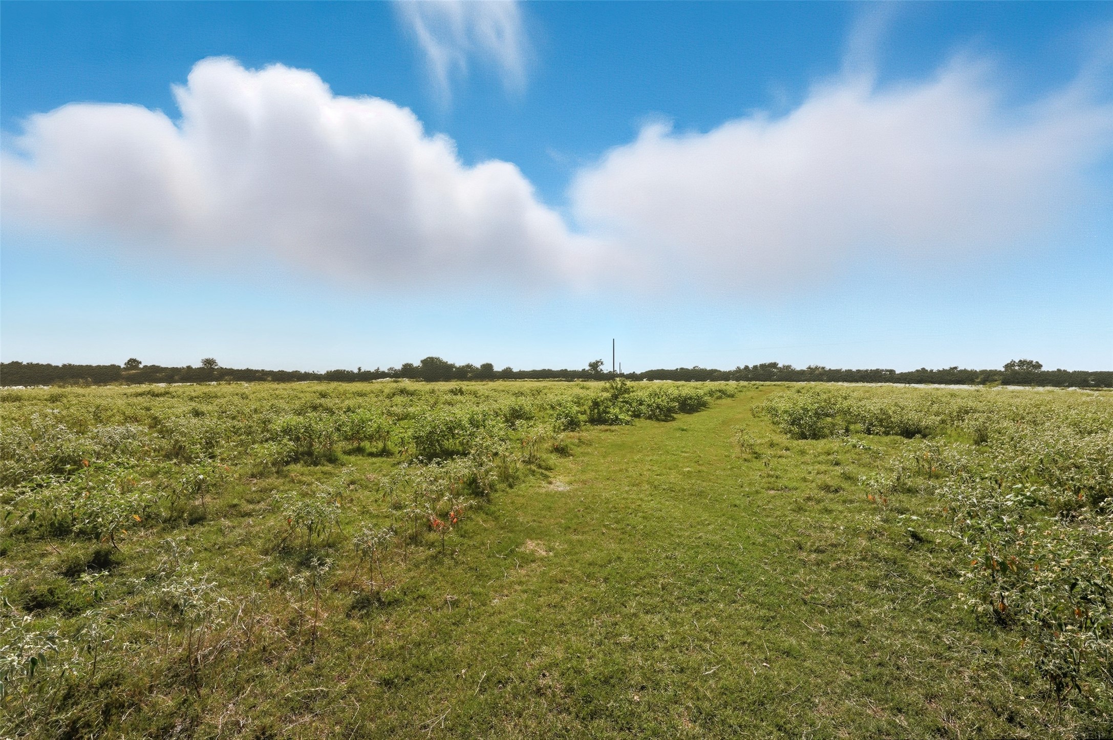 3855 County Road 3410 Lone Oak TX 75453