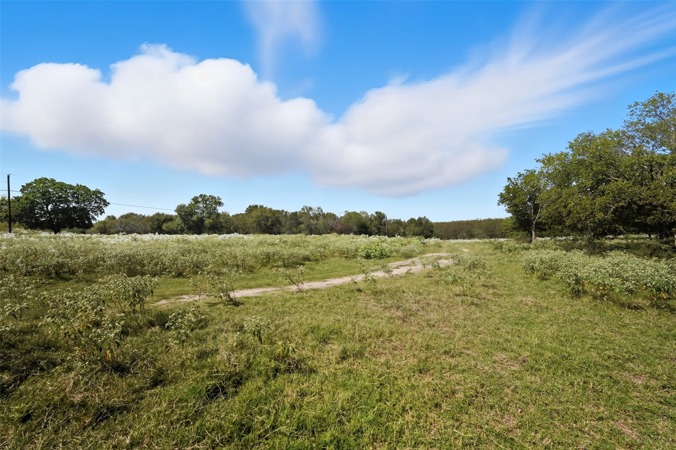 3855 County Road 3410 Lone Oak TX 75453
