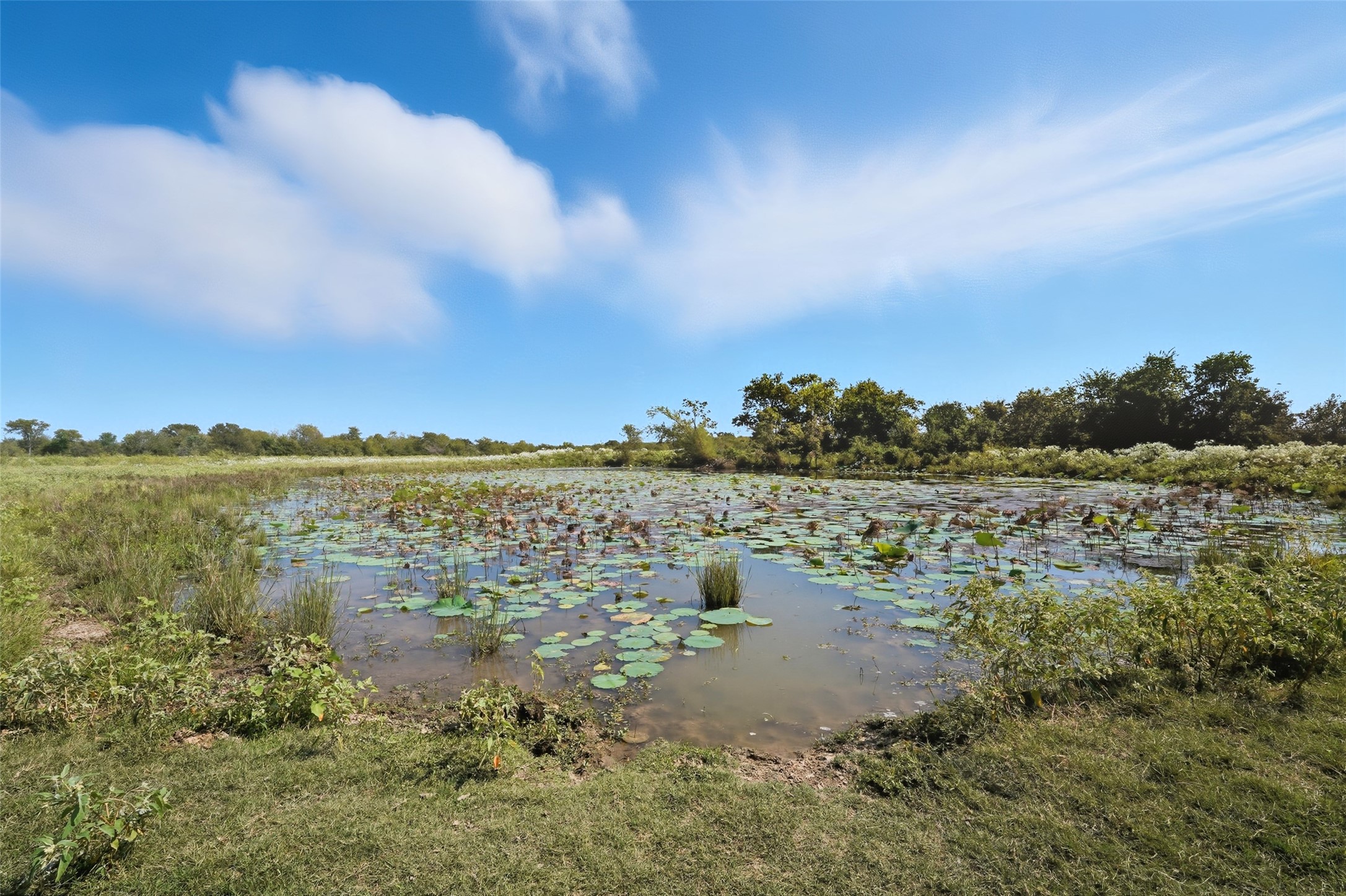 3855 County Road 3410 Lone Oak TX 75453