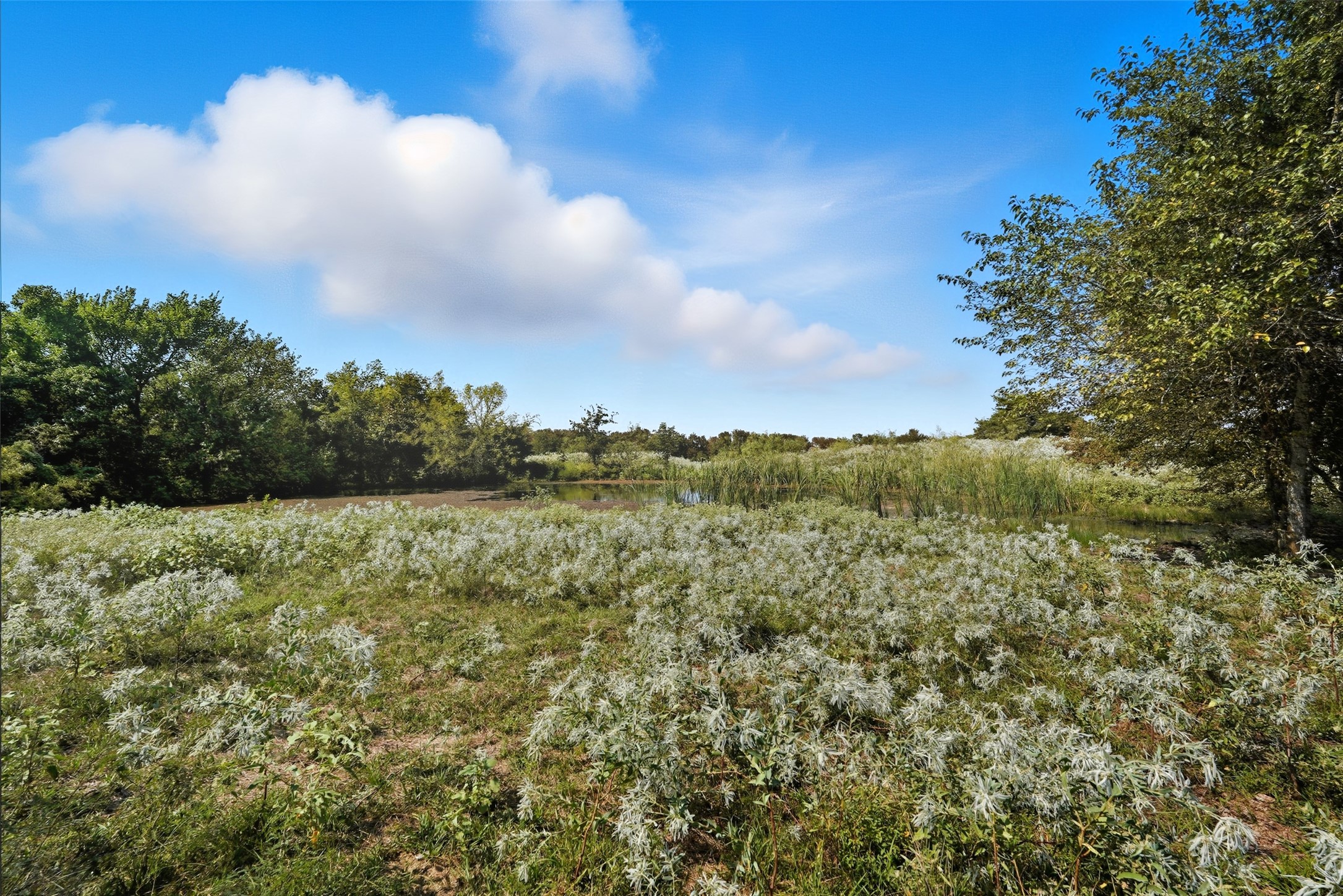 3855 County Road 3410 Lone Oak TX 75453