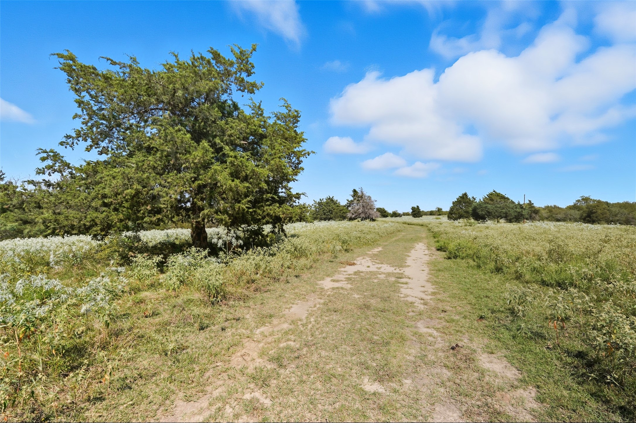 3855 County Road 3410 Lone Oak TX 75453