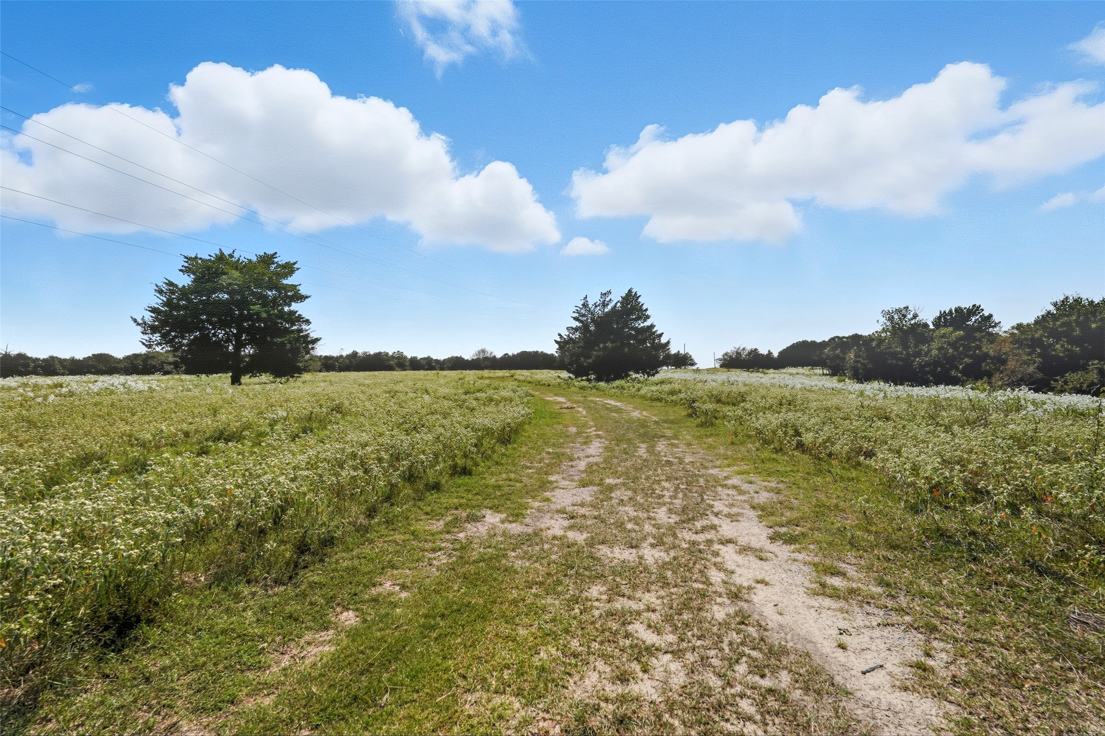 3855 County Road 3410 Lone Oak TX 75453