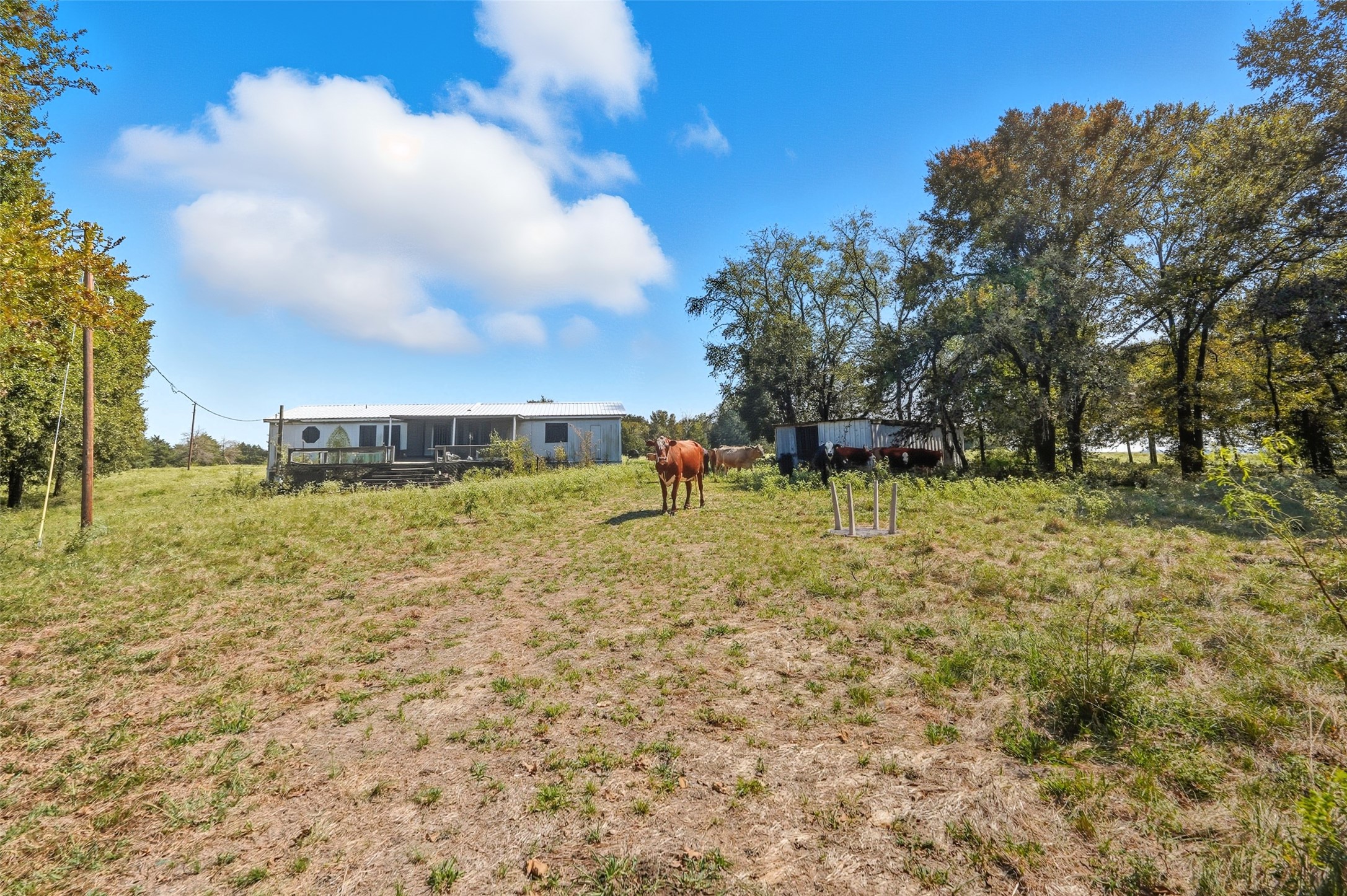 3855 County Road 3410 Lone Oak TX 75453