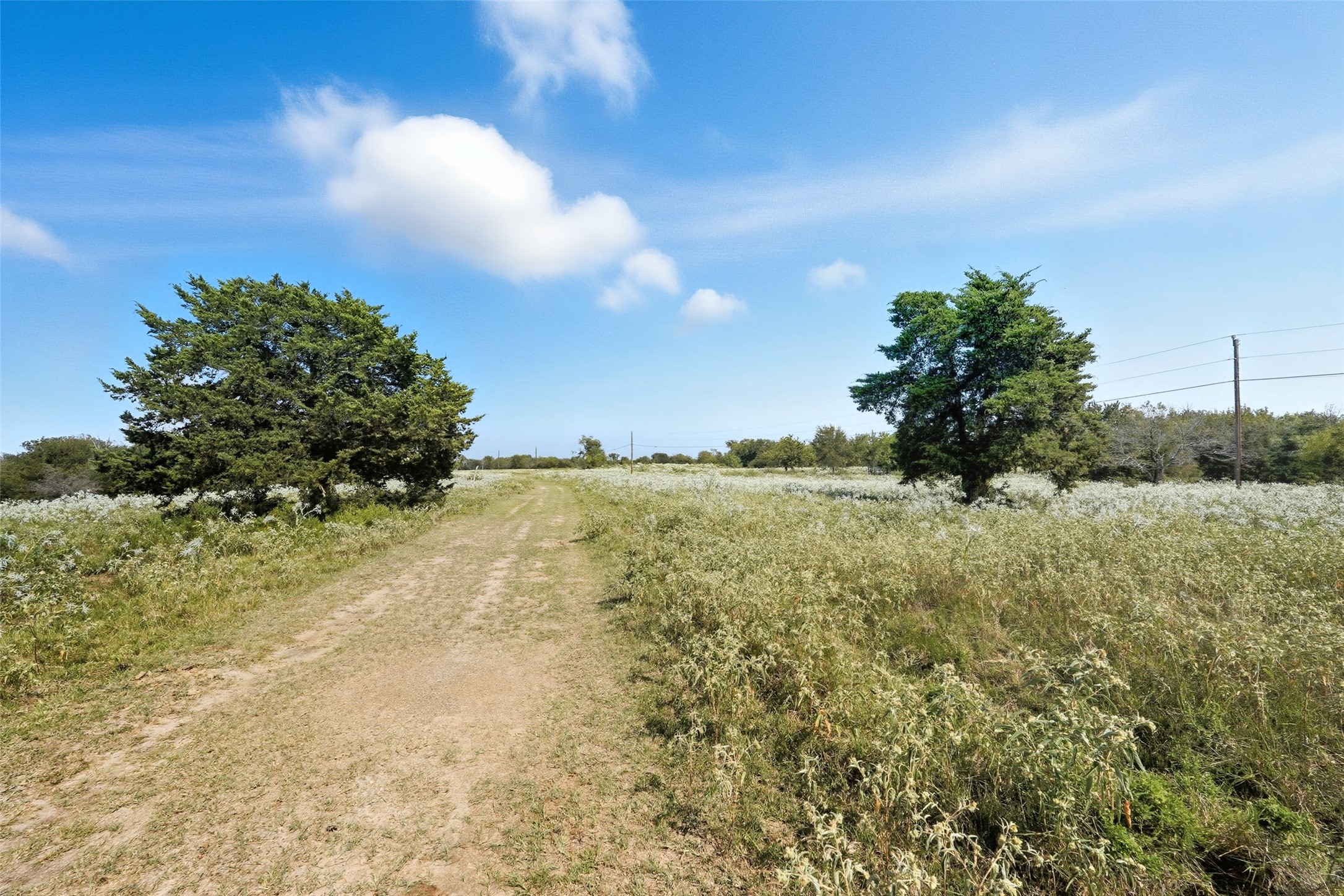 3855 County Road 3410 Lone Oak TX 75453