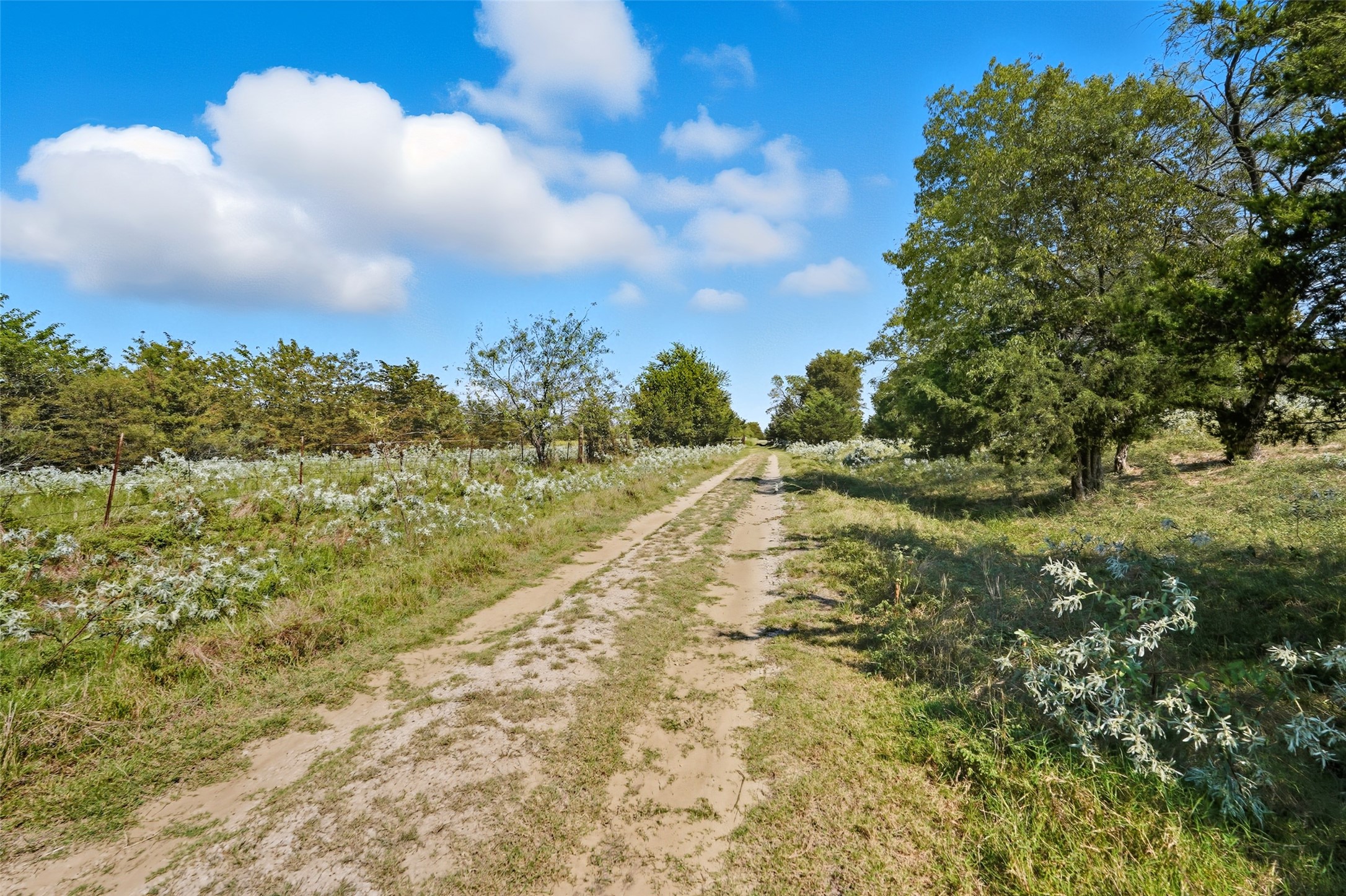3855 County Road 3410 Lone Oak TX 75453