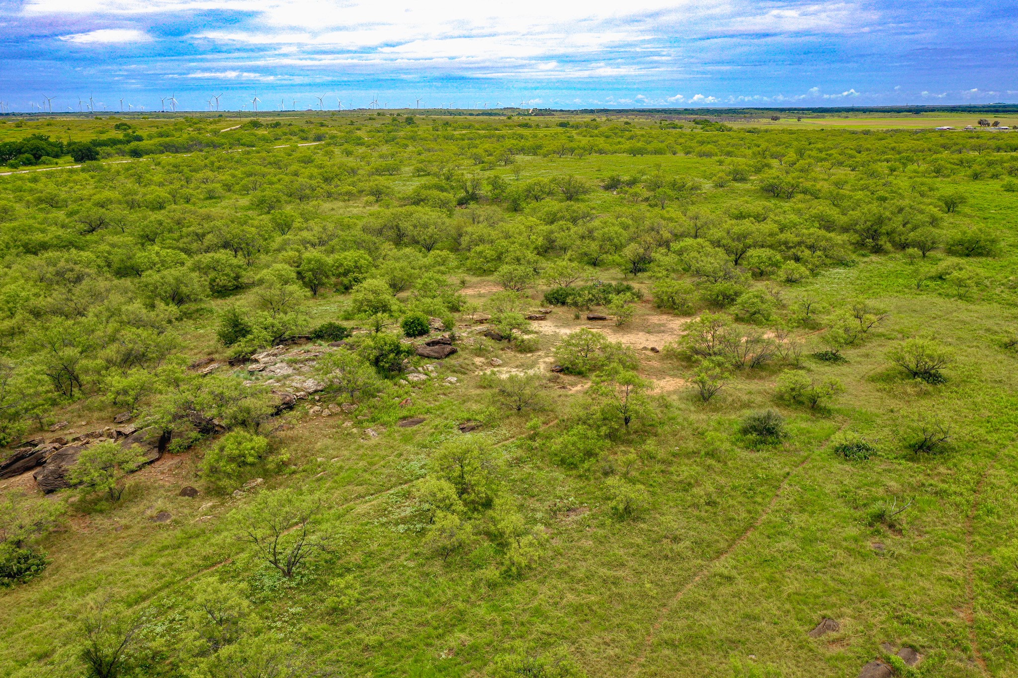 8617 Fm 175 Jacksboro TX 76458