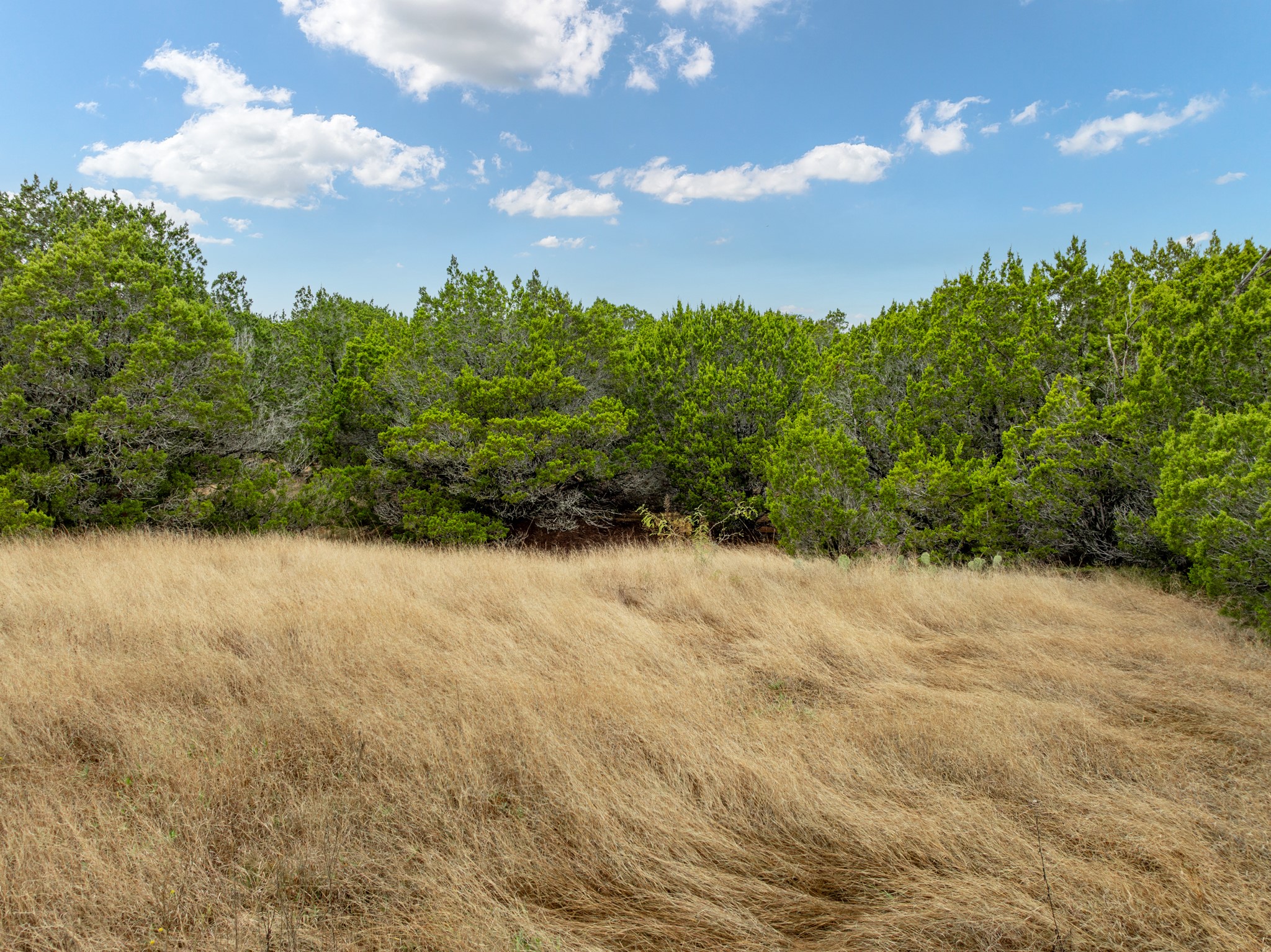 18062 Forrest Drive Whitney TX 76692