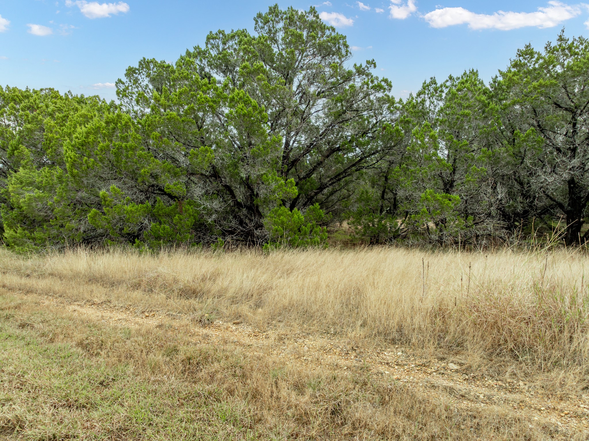 18062 Forrest Drive Whitney TX 76692
