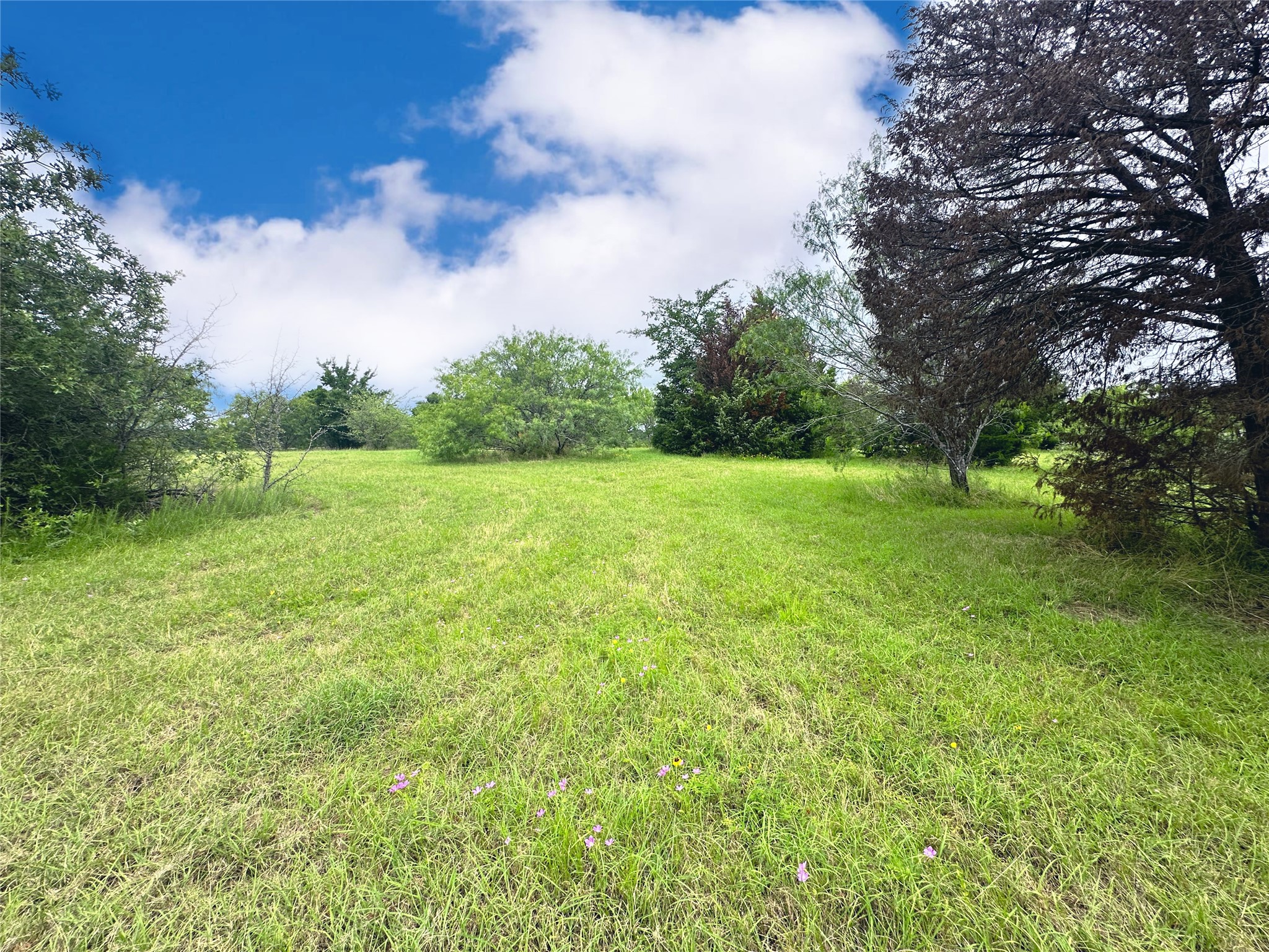 Lot 97 Fiddler Lane Corsicana TX 75109