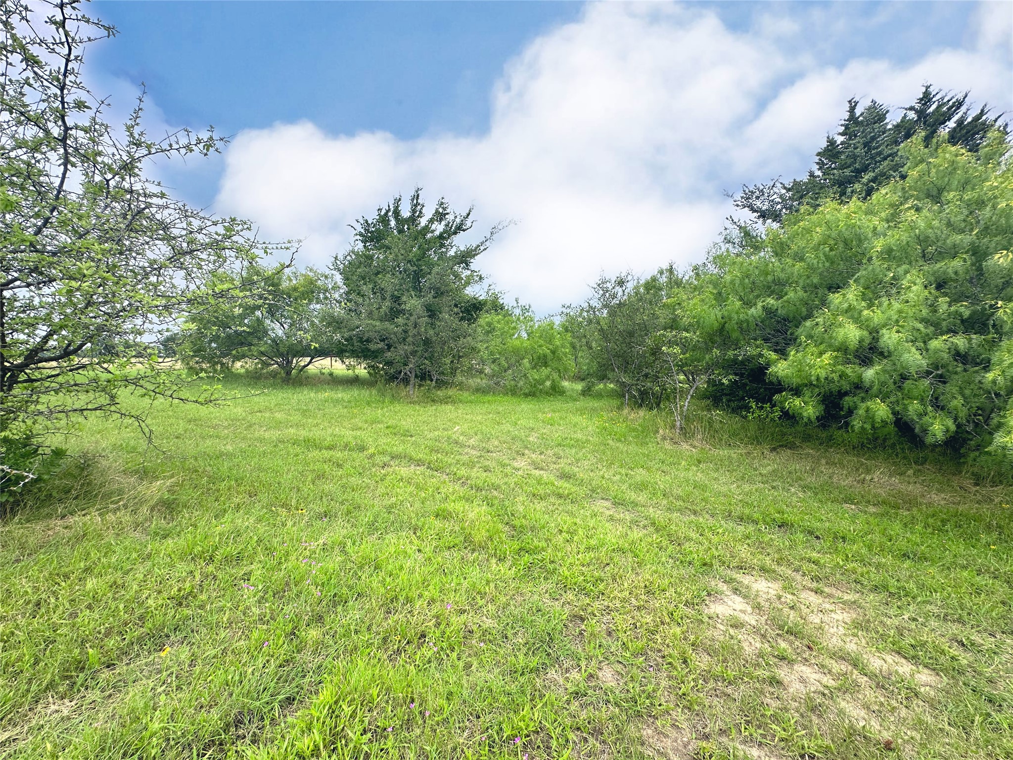 Lot 97 Fiddler Lane Corsicana TX 75109