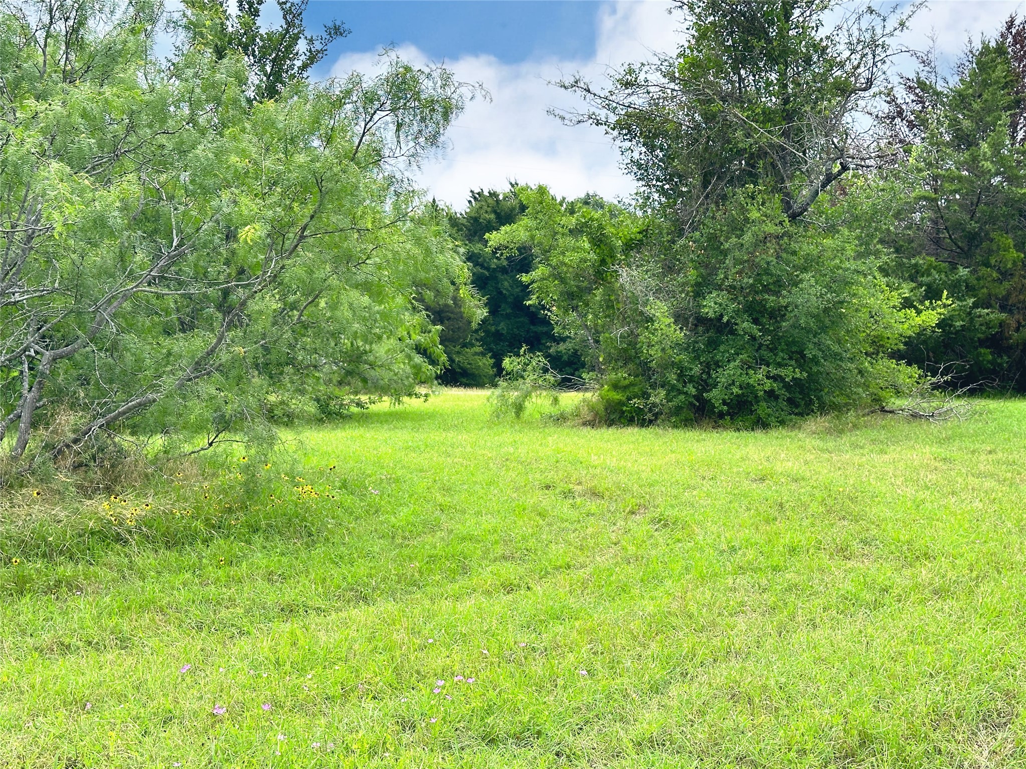 Lot 97 Fiddler Lane Corsicana TX 75109