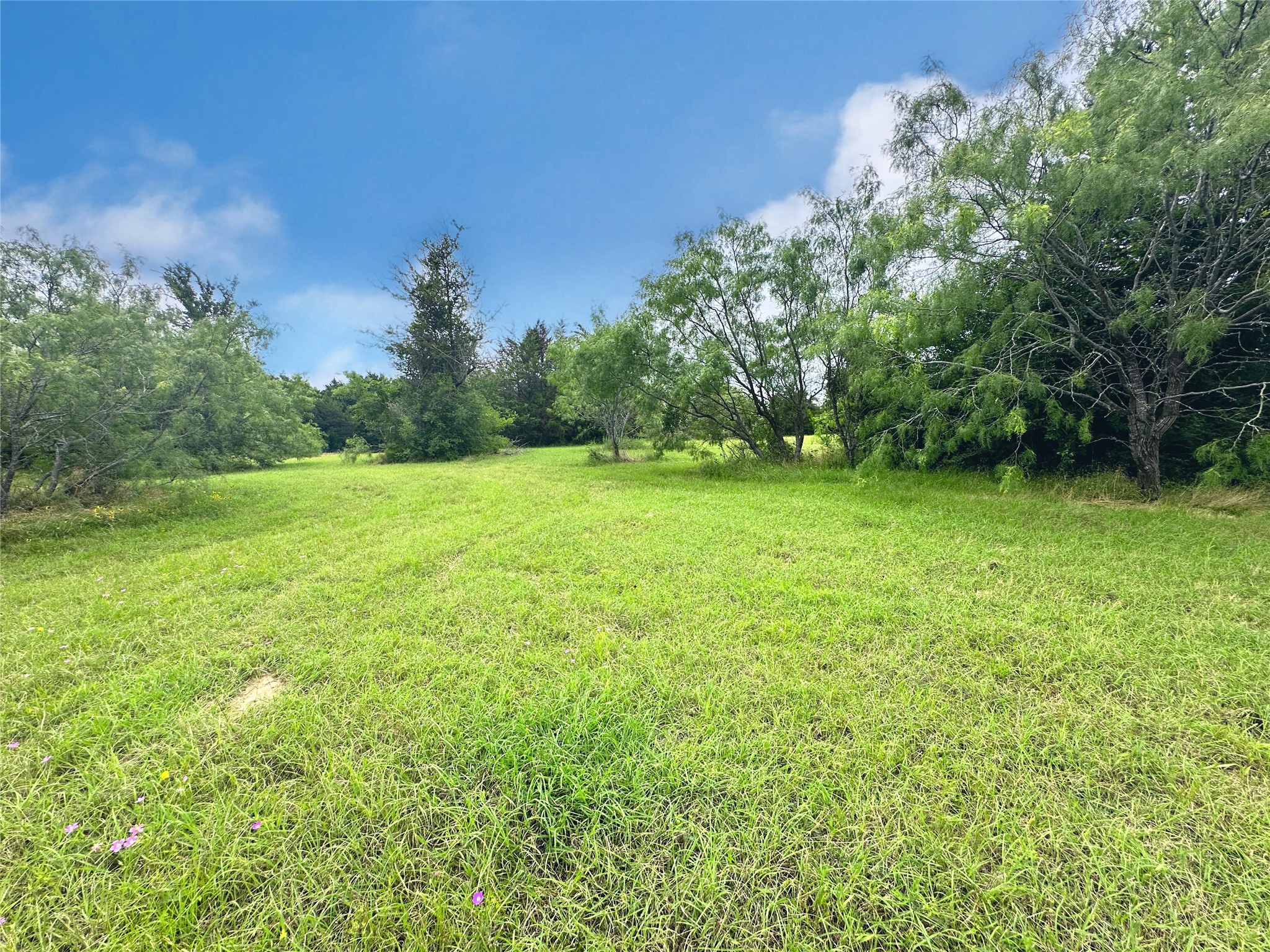 Lot 97 Fiddler Lane Corsicana TX 75109