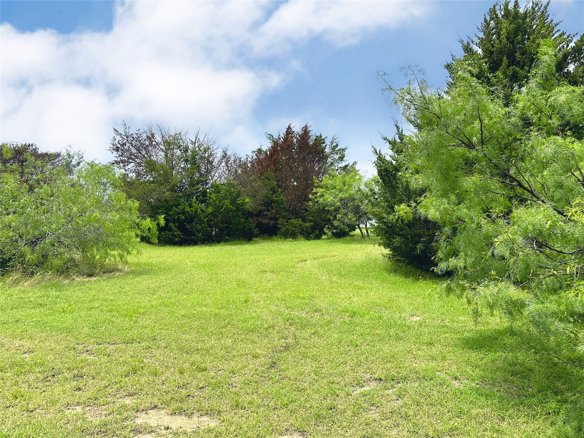 Lot 97 Fiddler Lane Corsicana TX 75109