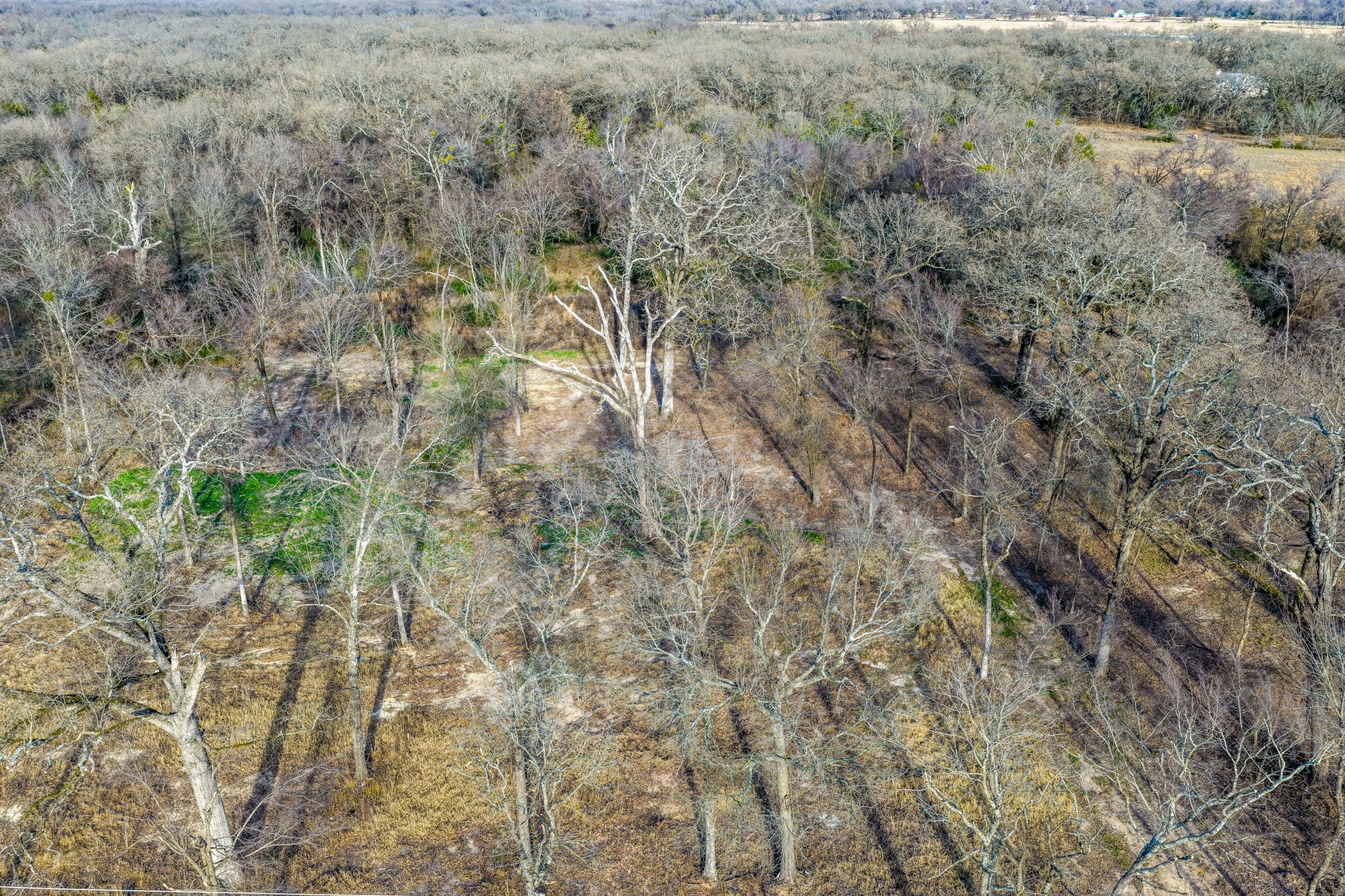 1532 E 301 Loop Sulphur Springs TX 75482