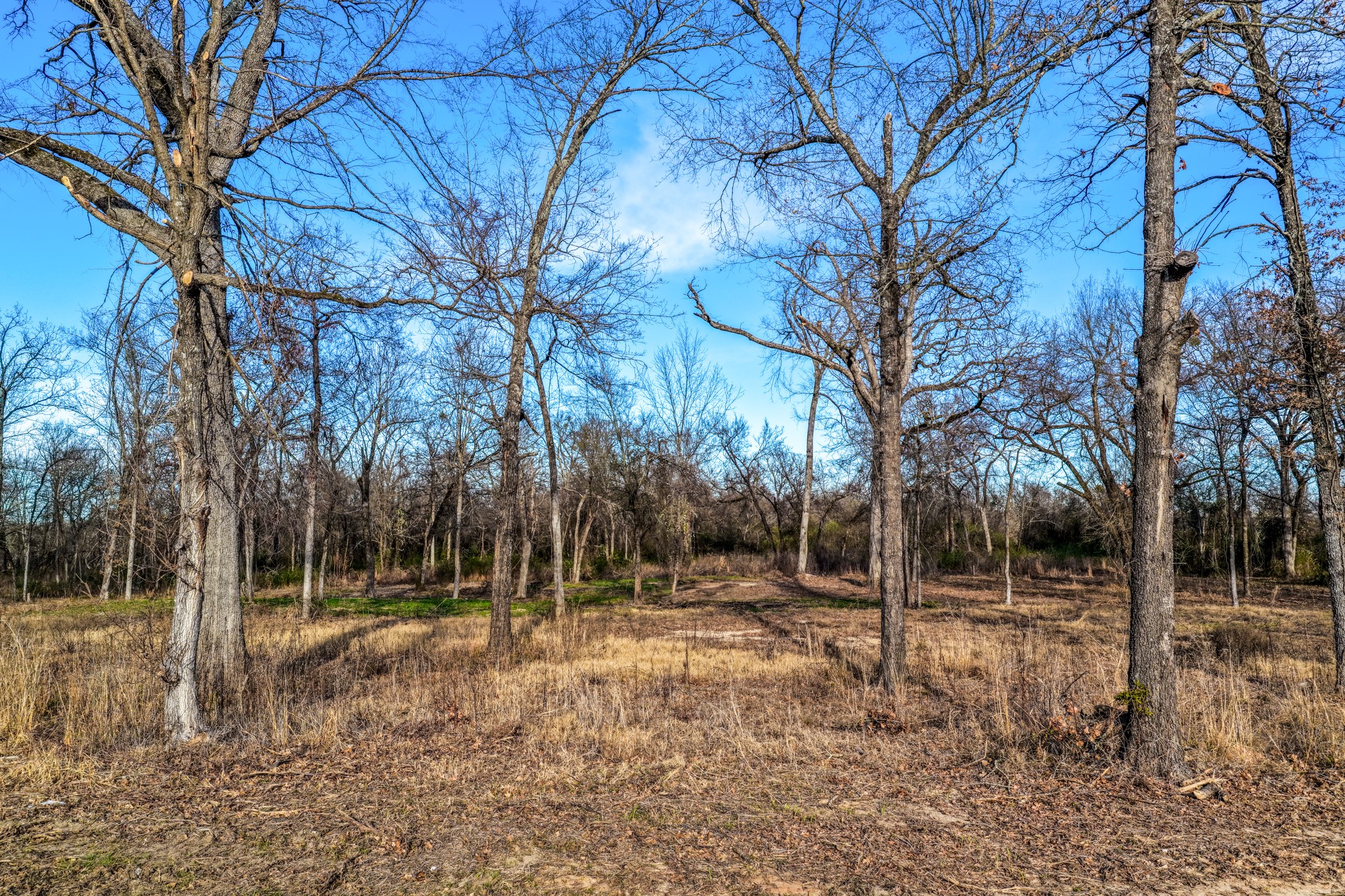 1532 E 301 Loop Sulphur Springs TX 75482