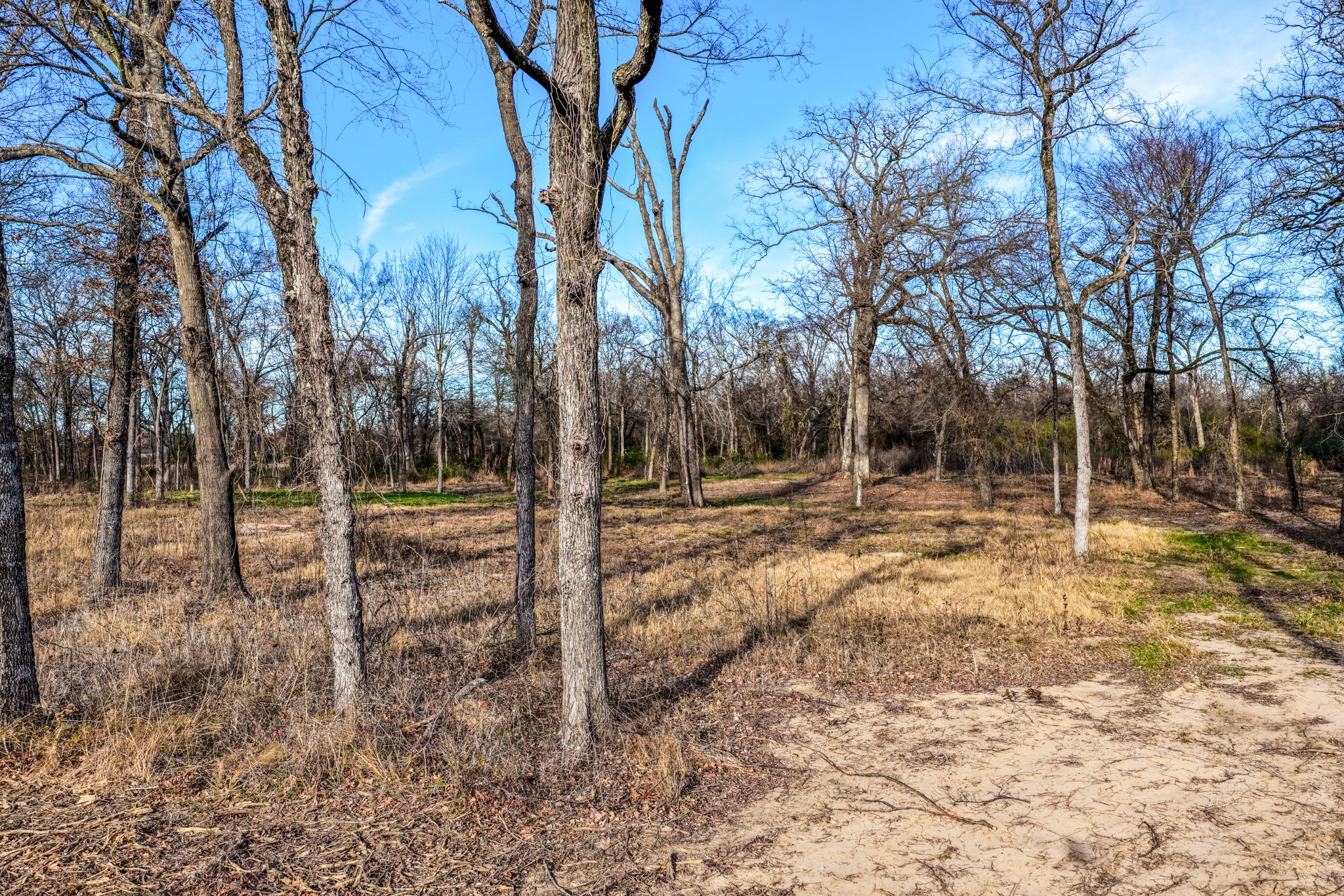 1532 E 301 Loop Sulphur Springs TX 75482
