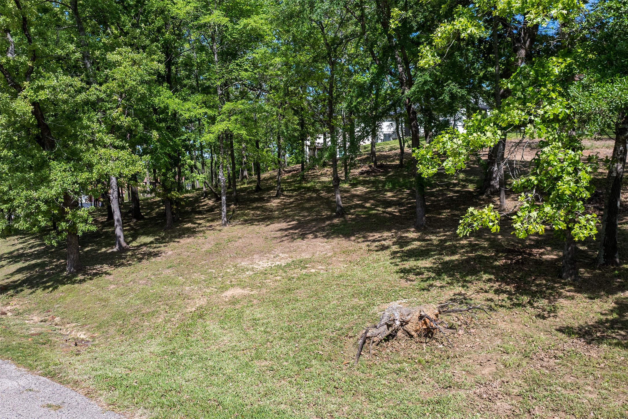 13801 Rock Springs Malakoff TX 75148