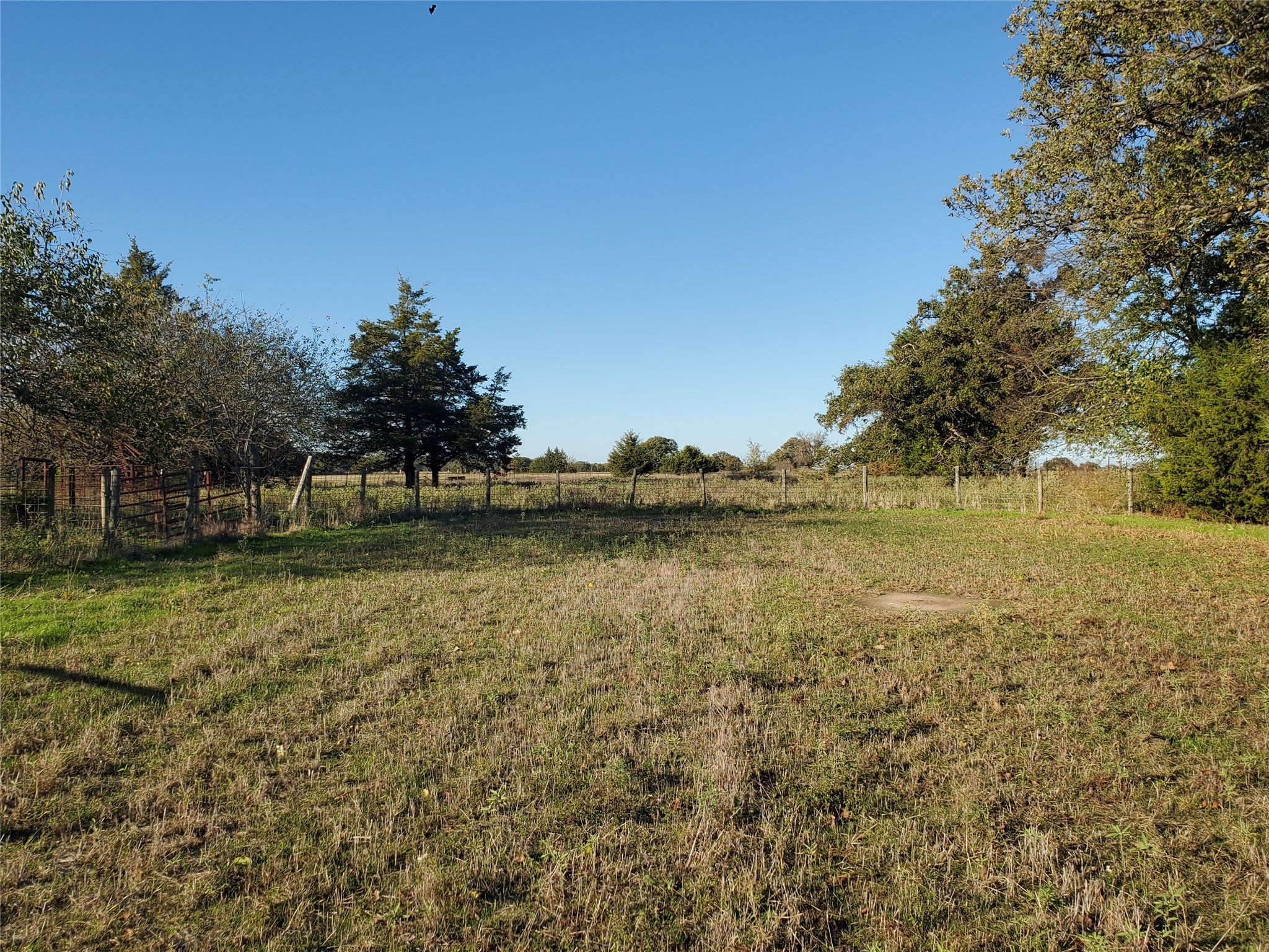 3721 Fm 1396 E Ivanhoe TX 75447