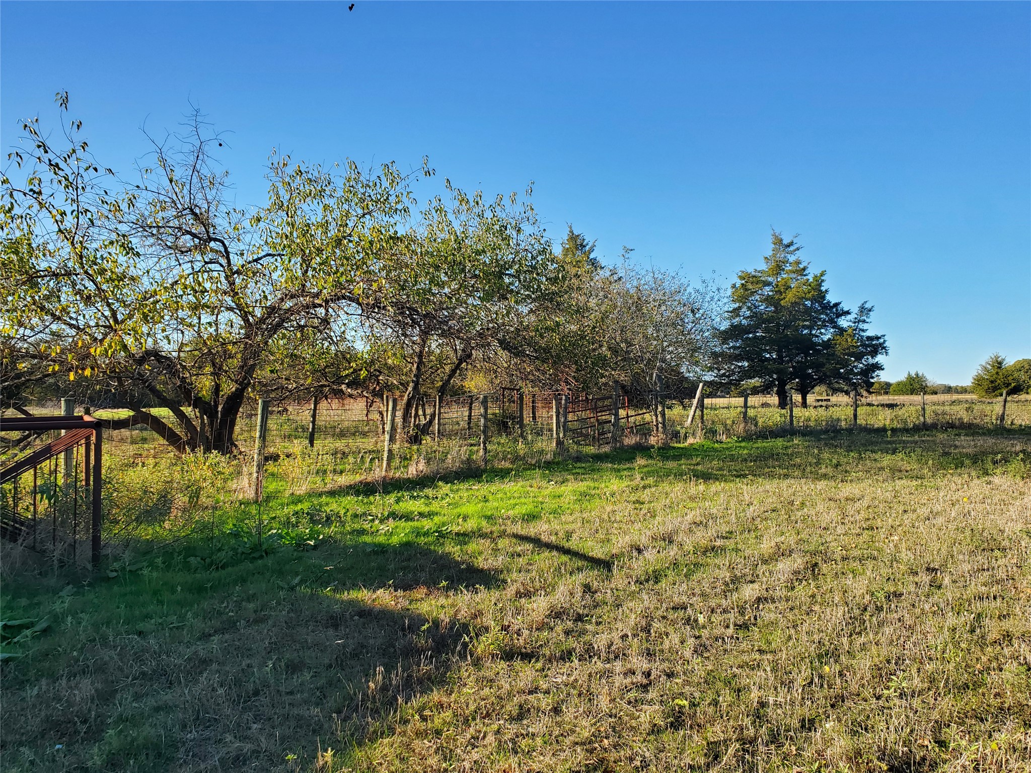 3721 Fm 1396 E Ivanhoe TX 75447