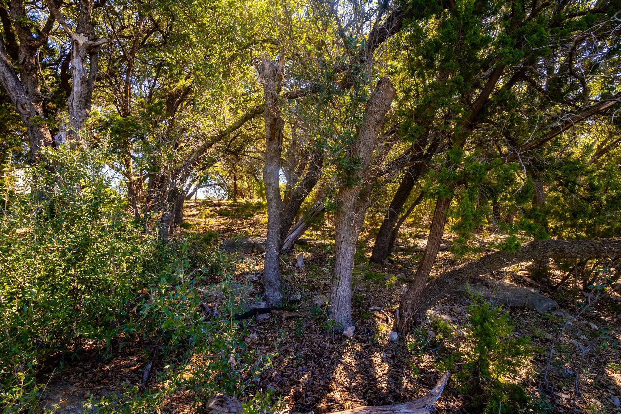 3500 Hog Bend Graford TX 76449