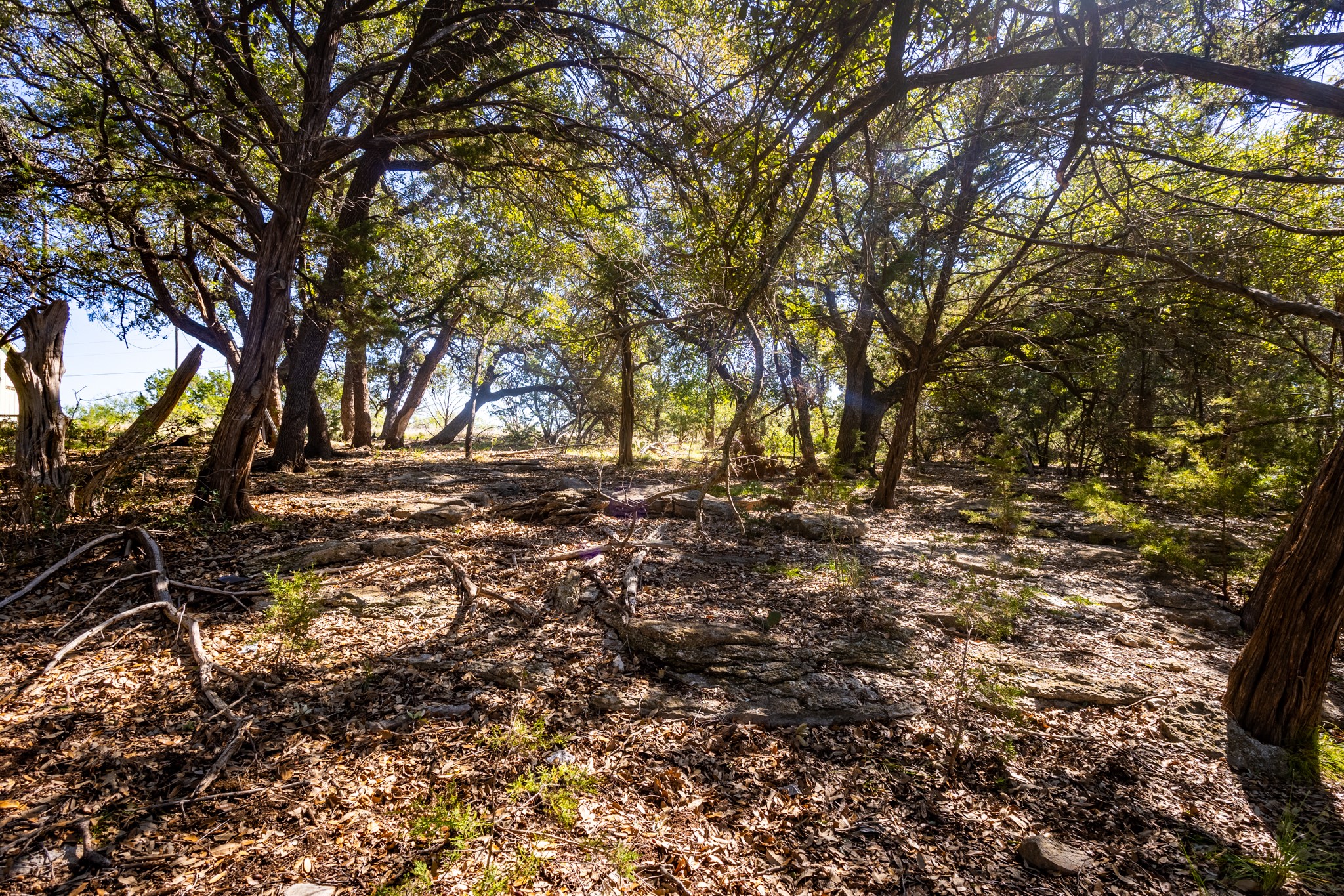 3500 Hog Bend Graford TX 76449
