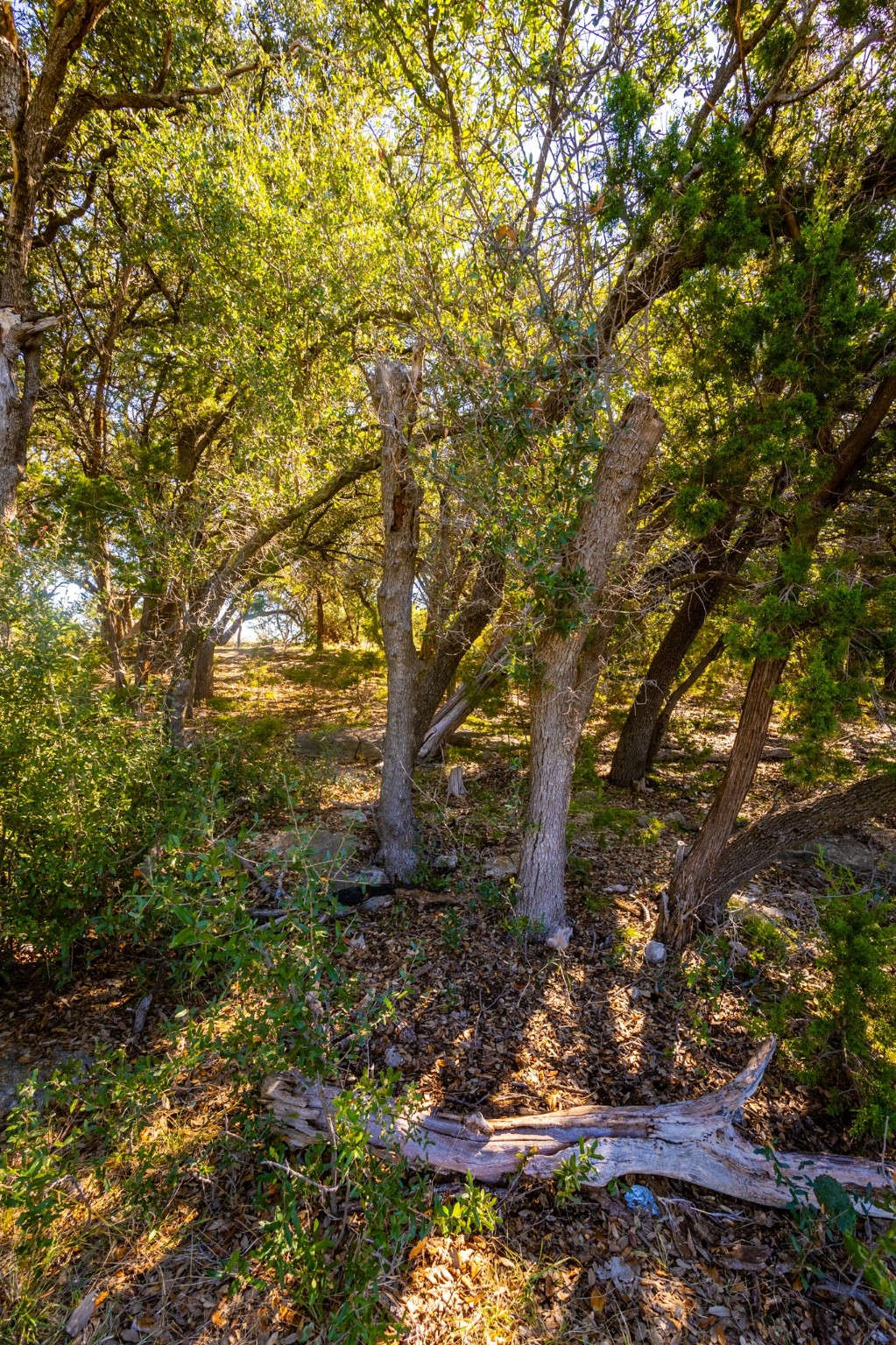 3500 Hog Bend Graford TX 76449