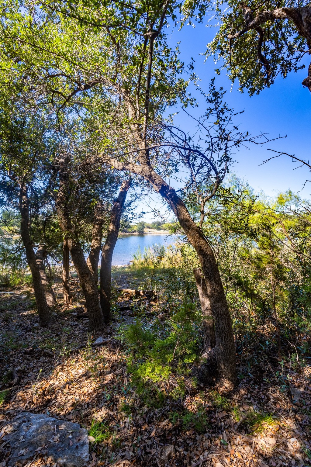 3500 Hog Bend Graford TX 76449