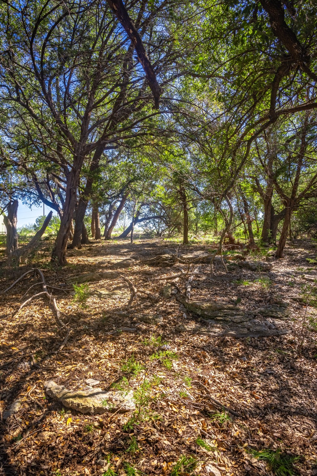 3500 Hog Bend Graford TX 76449