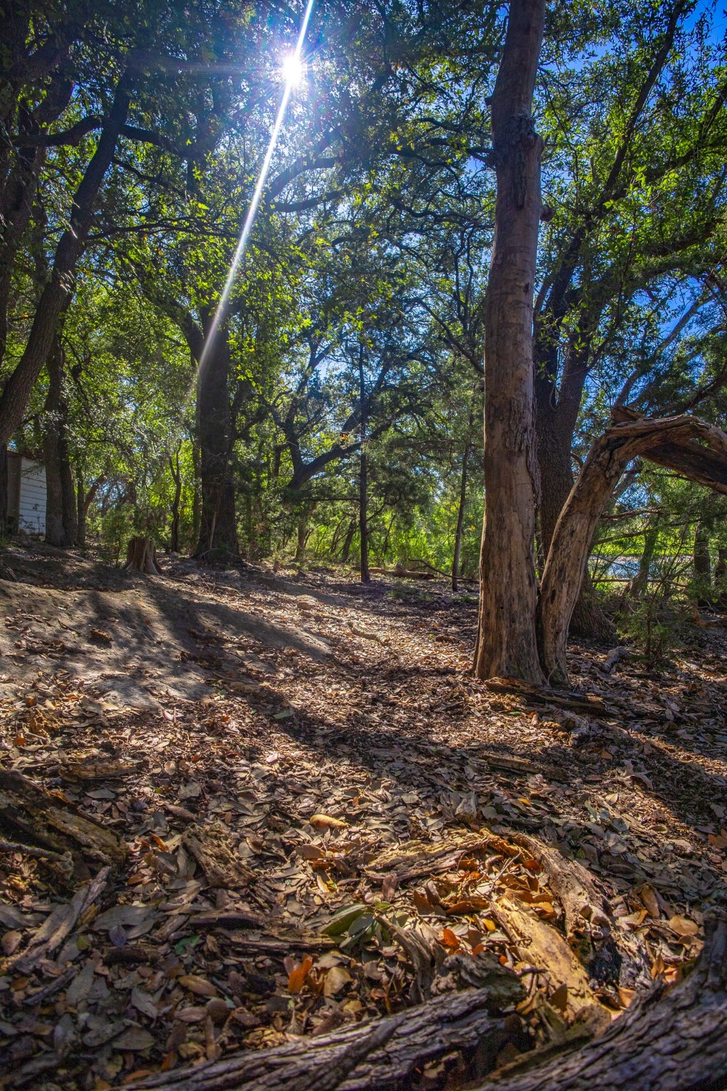 3500 Hog Bend Graford TX 76449