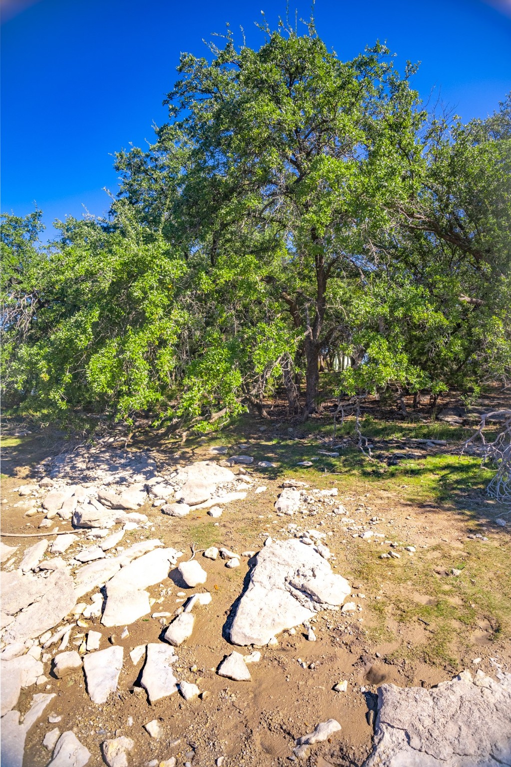 3500 Hog Bend Graford TX 76449
