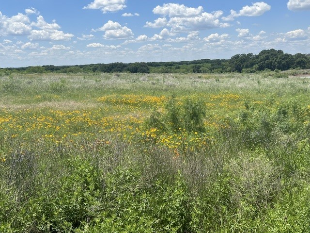 Tbd Cr 333 Blanket TX 76432