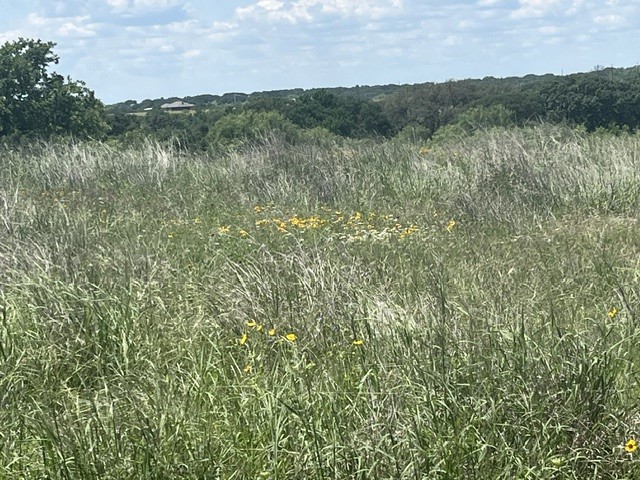 Tbd Cr 333 Blanket TX 76432