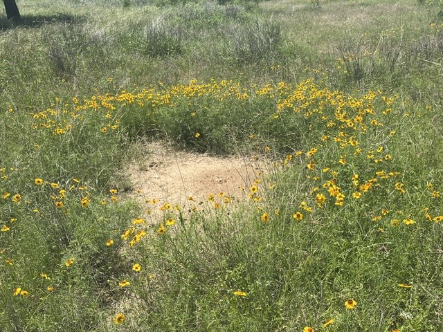 Tbd Cr 333 Blanket TX 76432