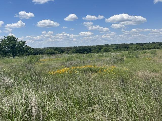 Tbd Cr 333 Blanket TX 76432