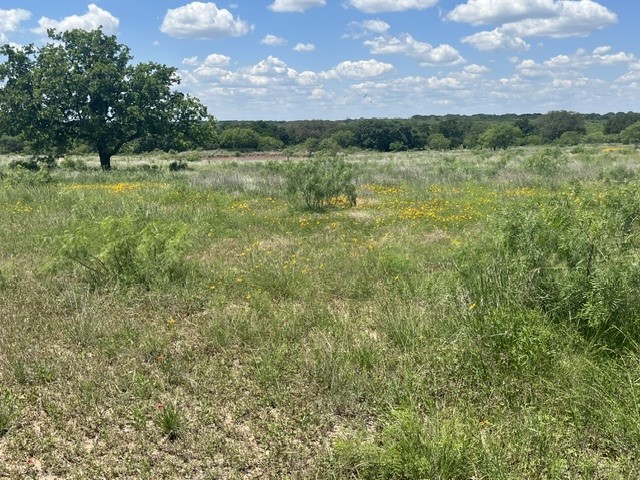 Tbd Cr 333 Blanket TX 76432