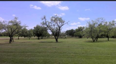0 Brushy Creek Court Royse City TX 75189