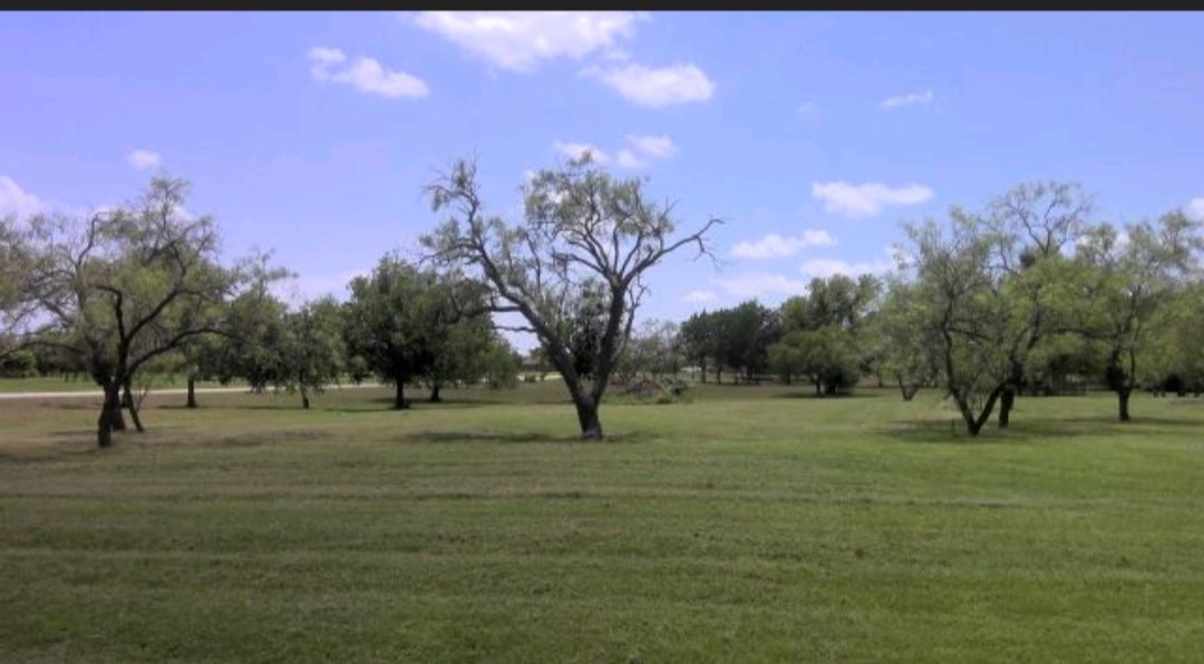0 Brushy Creek Court Royse City TX 75189
