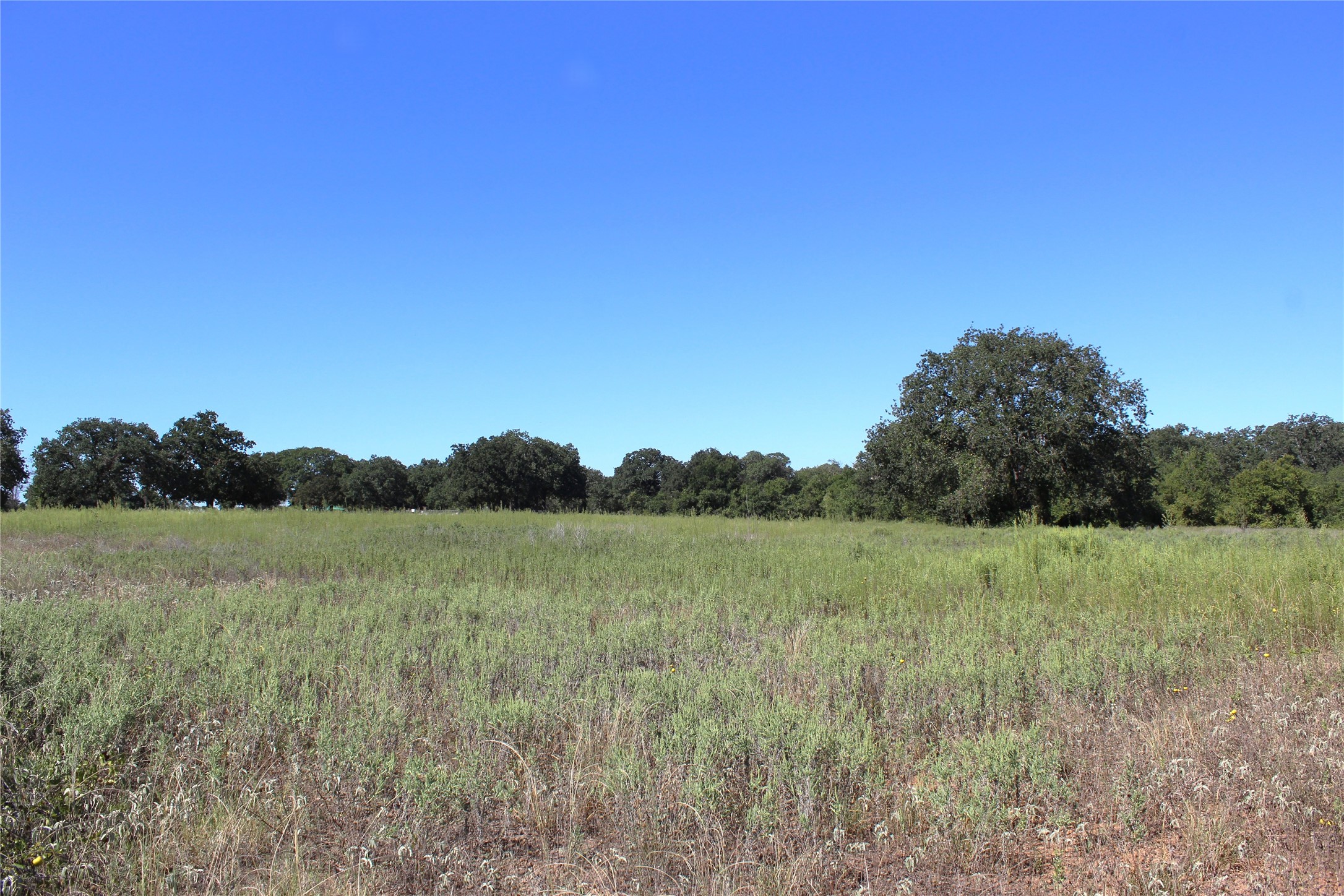 165 County Road 315 Comanche TX 76442