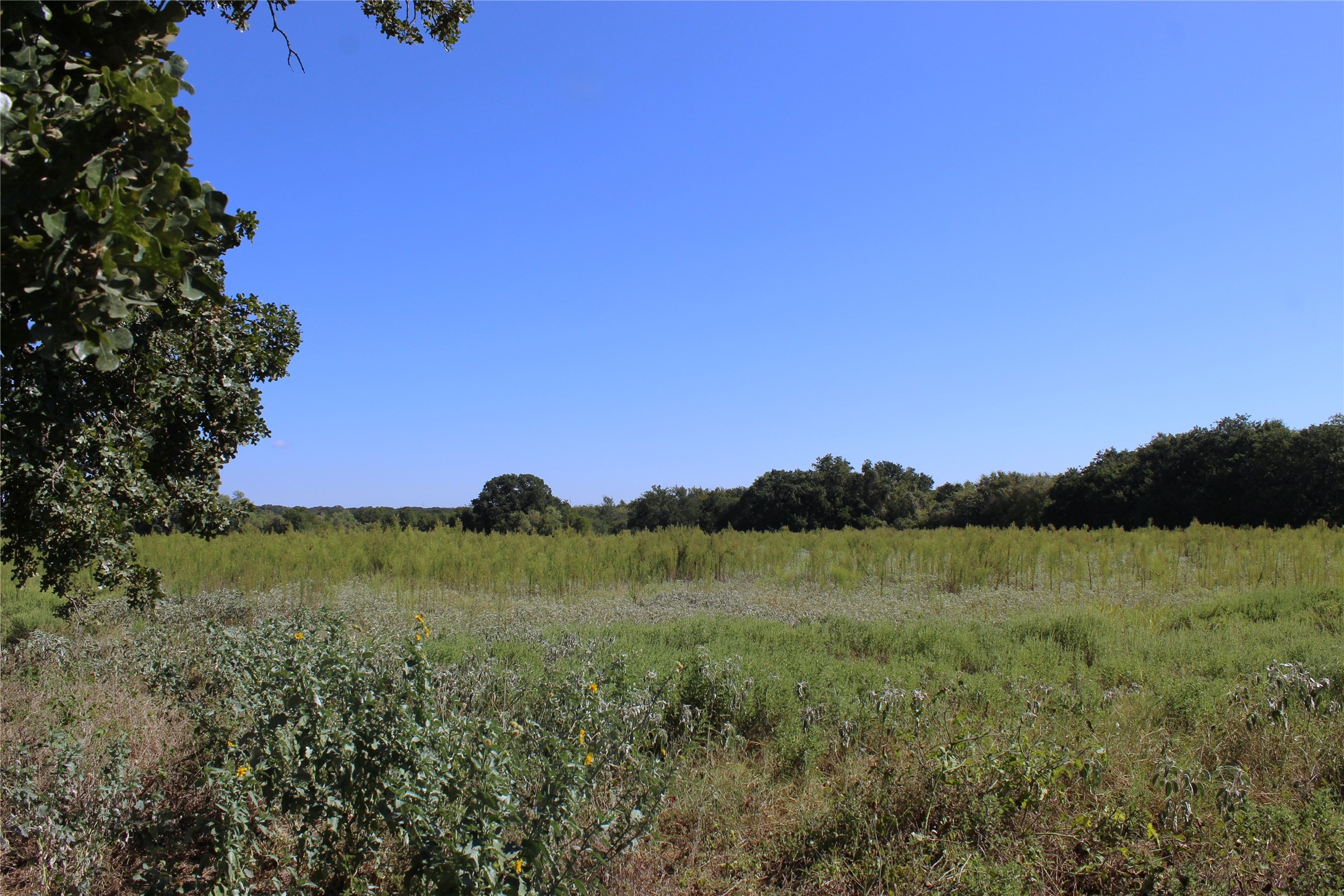 165 County Road 315 Comanche TX 76442