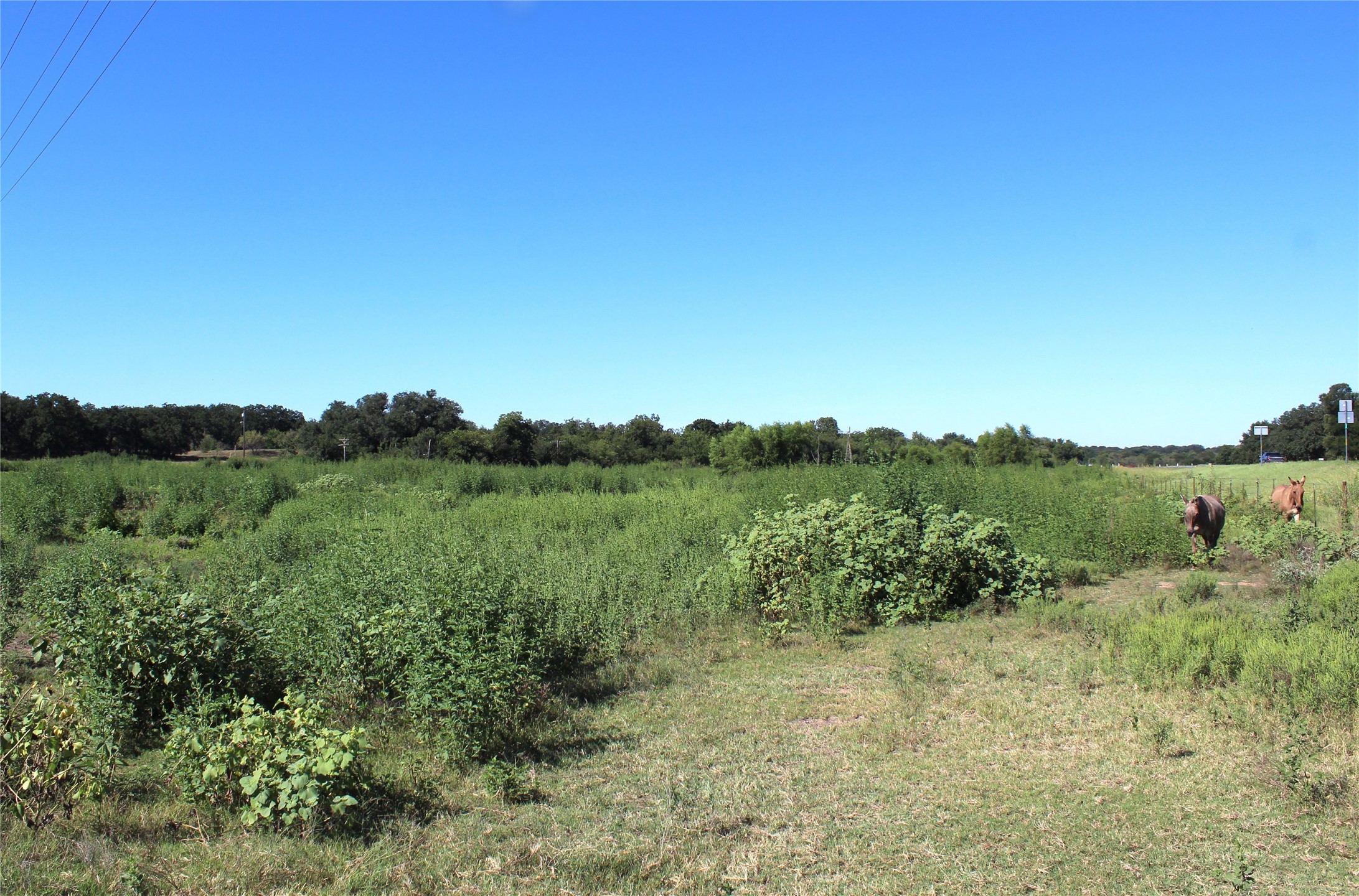 165 County Road 315 Comanche TX 76442
