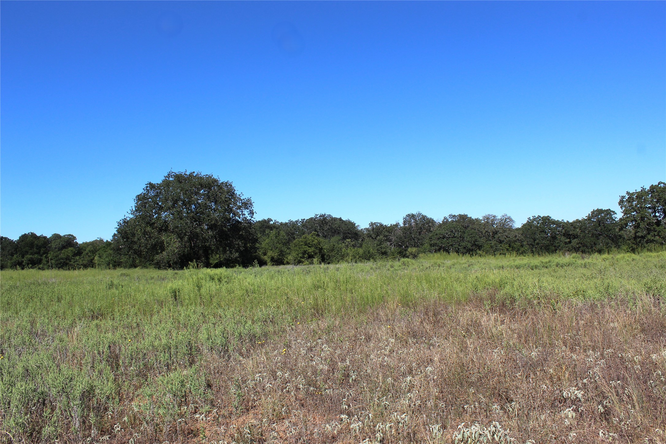 165 County Road 315 Comanche TX 76442
