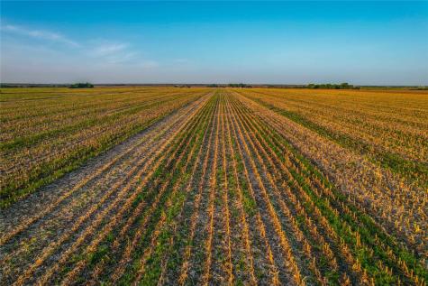 N/a Cathey Creek Road Holland TX 76534