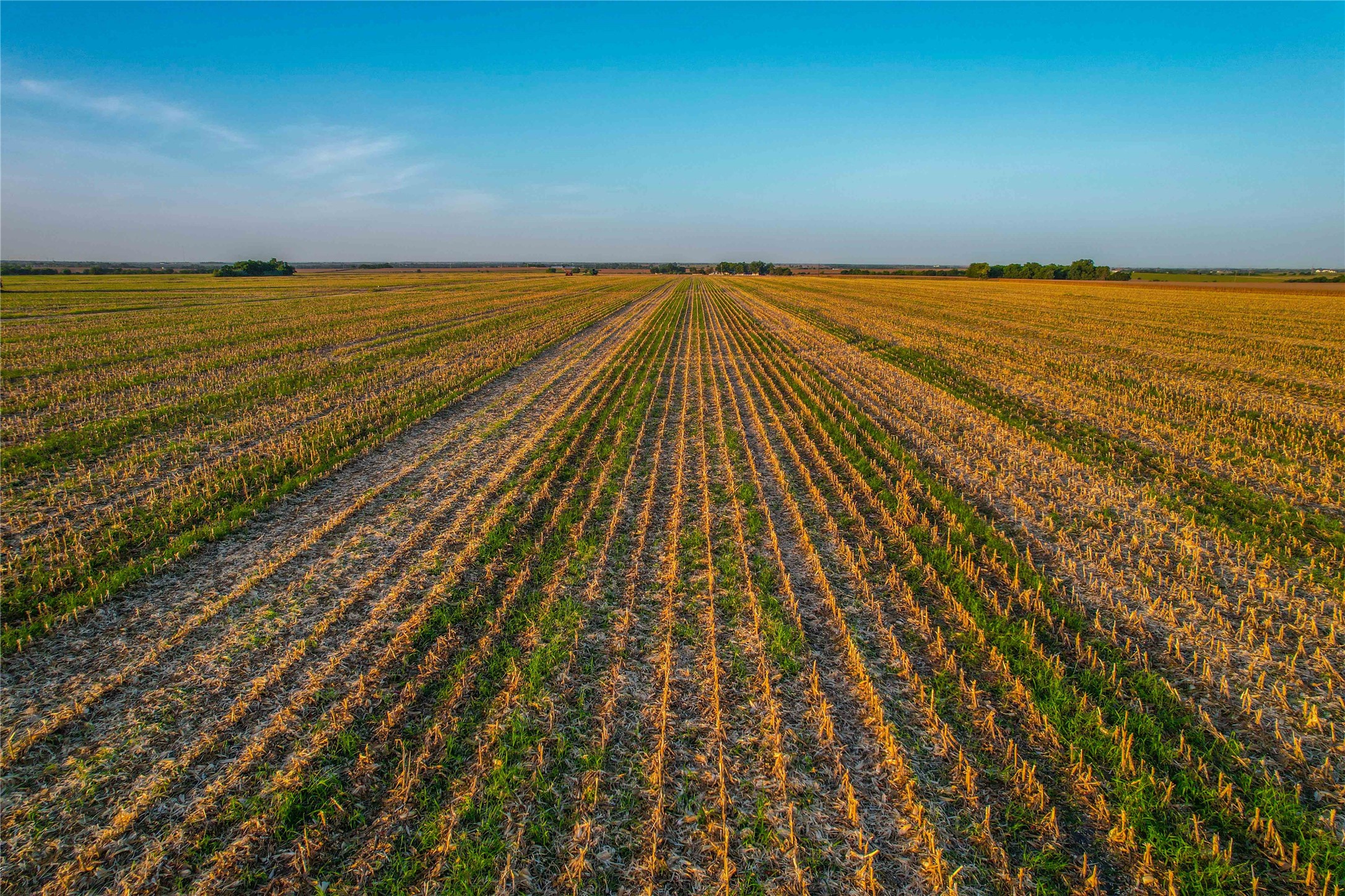 N/a Cathey Creek Road Holland TX 76534