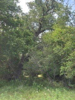 Tbd (Lot 7) Barry Road Henrietta TX 76365