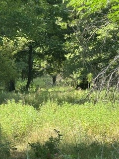 Tbd (Lot 7) Barry Road Henrietta TX 76365
