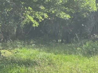 Tbd (Lot 7) Barry Road Henrietta TX 76365
