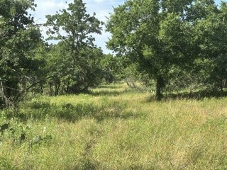 Tbd (Lot 7) Barry Road Henrietta TX 76365
