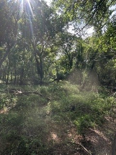Tbd (Lot 7) Barry Road Henrietta TX 76365