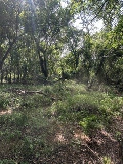 Tbd (Lot 7) Barry Road Henrietta TX 76365