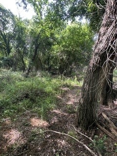 Tbd (Lot 7) Barry Road Henrietta TX 76365